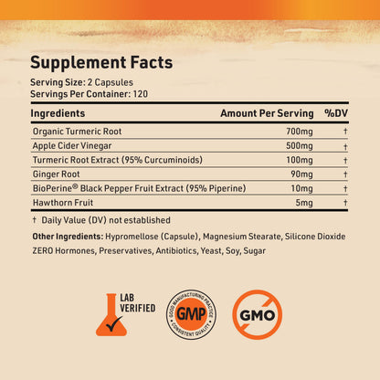 Nature's Base Turmeric & Ginger Supplement with Curcumin, ACV & BioPerine – 240 Capsules | 95% Curcuminoids