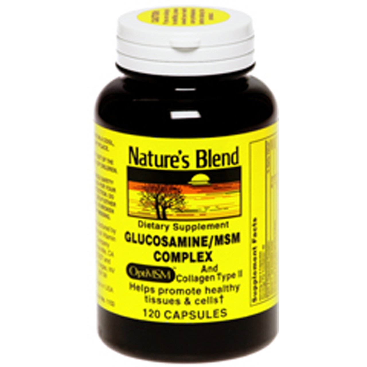 Nature's Blend Glucosamine MSM Complex with Collagen Type II TB-120 - Joint Support