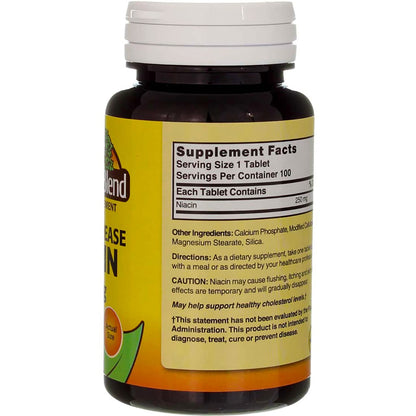 Nature's Blend Niacin Timed Release 250 mg – 100 Tabs | Gluten Free
