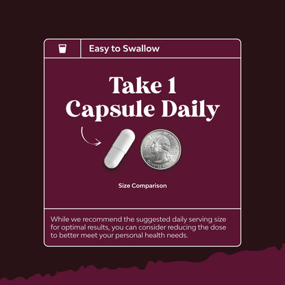 Nature's Craft Advanced Kidney Support Supplement – Kidney Cleanse Detox & Repair Capsules with Cranberry, Uva Ursi & Astragalus – Urinary Tract Health, 240 Caps