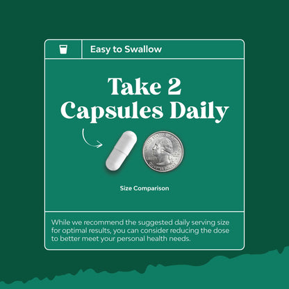 Lactoferrin 250mg & Monolaurin 1000mg - 30 Servings - Gut Health (Vegetarian)