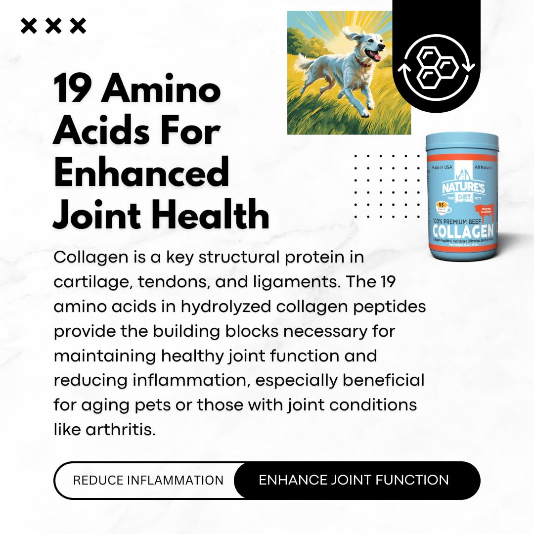 Nature's Diet Beef Collagen Peptides Type 1 for Dogs & Cats – Joint, Digestion & Skin Health | Premium Human Grade, Grass-Fed