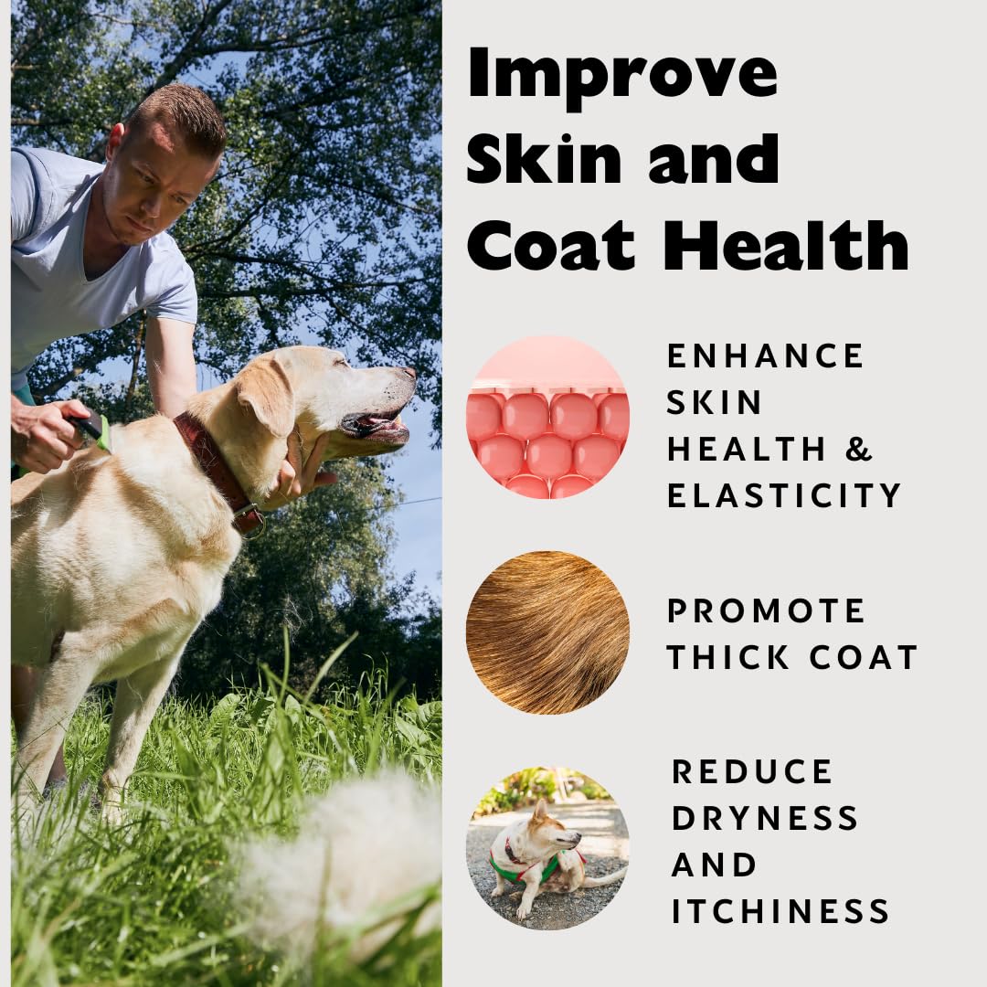 Nature's Diet Beef Collagen Peptides Type 1 for Dogs & Cats – Joint, Digestion & Skin Health | Premium Human Grade, Grass-Fed