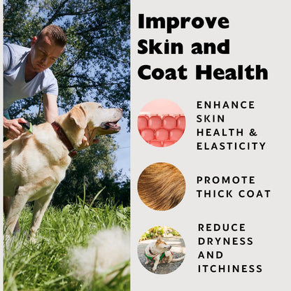 Nature's Diet Beef Collagen Peptides Type 1 for Dogs & Cats – Joint, Digestion & Skin Health | Premium Human Grade, Grass-Fed