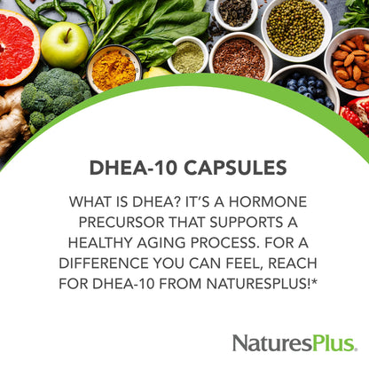 Natures Plus DHEA 10 with Bioperine - 10 mg, 90 Vegetarian Capsules | Gluten Free | 90 Servings