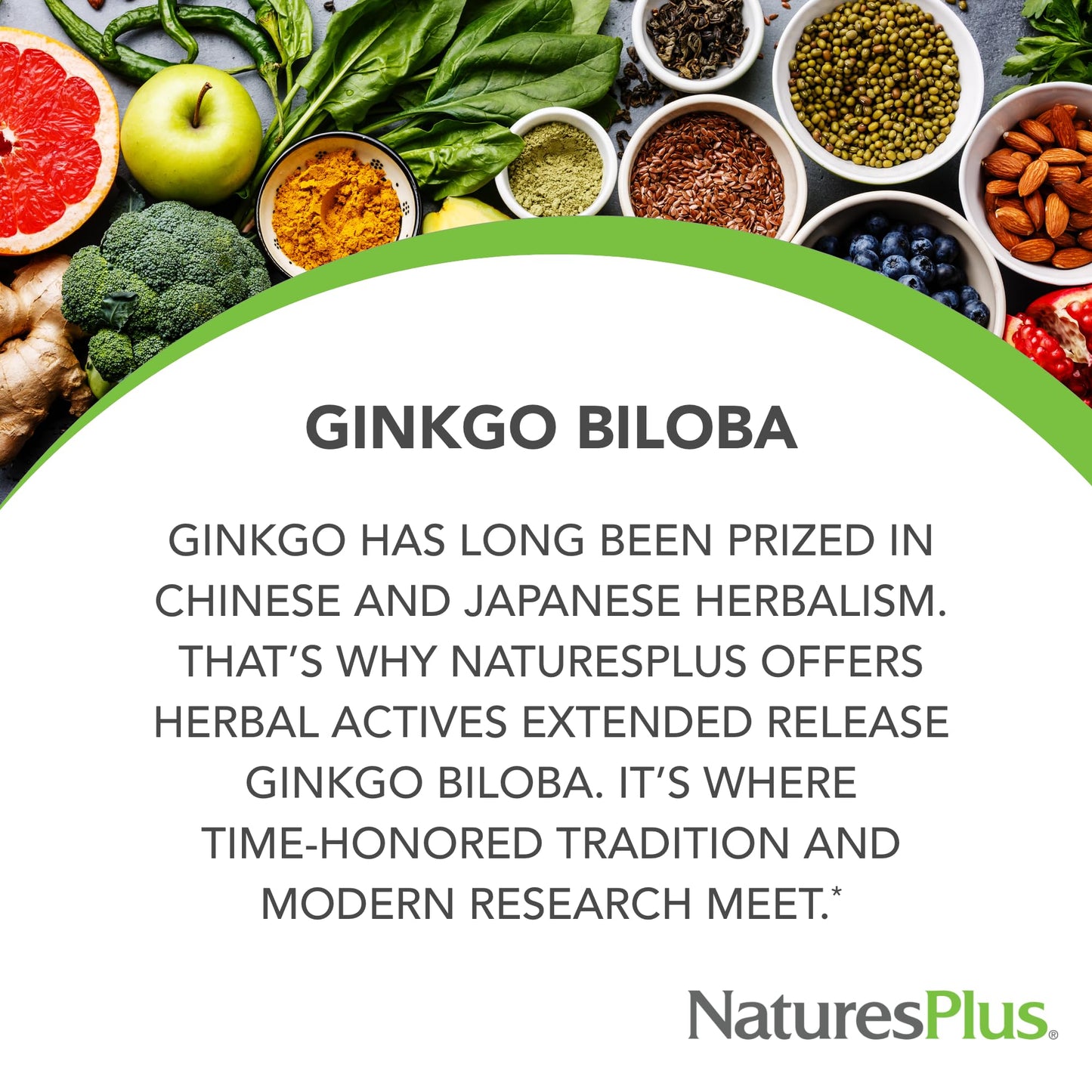 Natures Plus Herbal Actives Ginkgo Biloba 120 mg – Extended Release | 60 Vegan Tablets | Gluten-Free