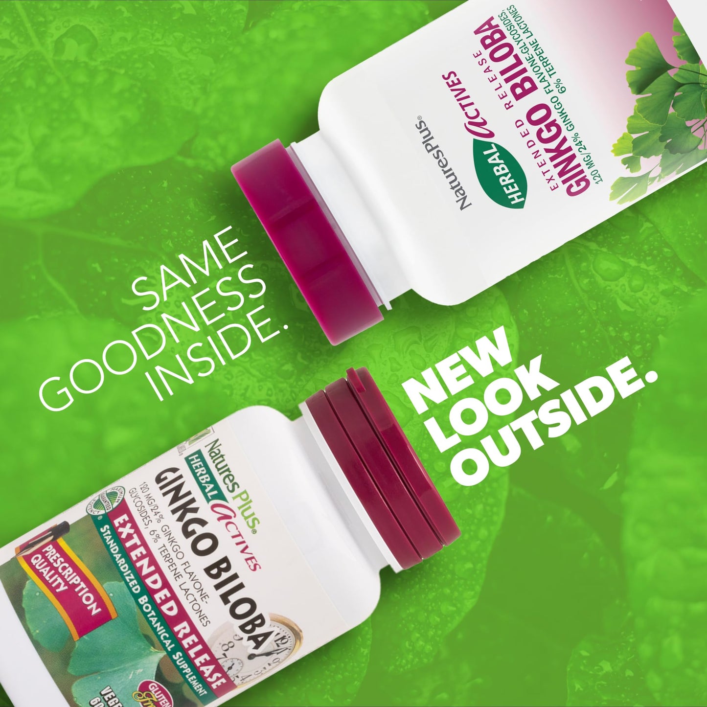 Natures Plus Herbal Actives Ginkgo Biloba 120 mg – Extended Release | 60 Vegan Tablets | Gluten-Free