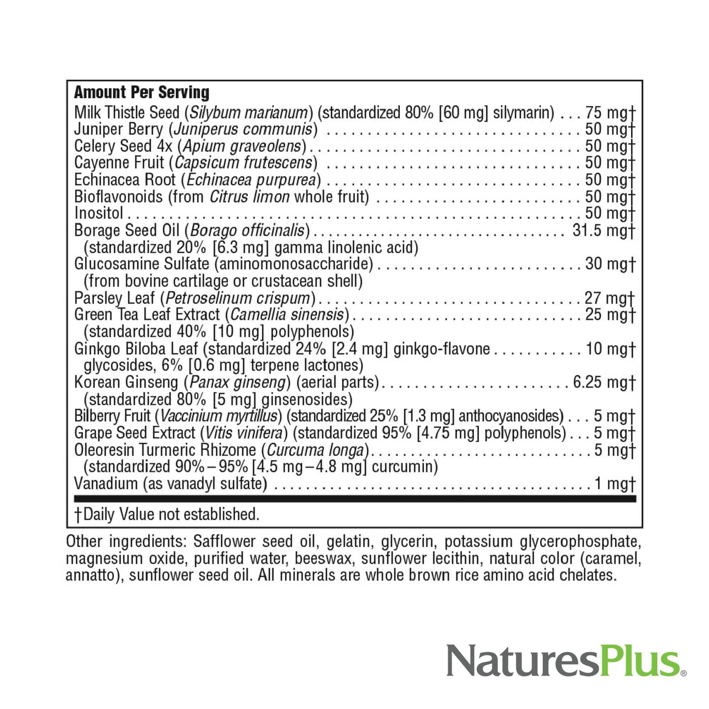 Natures Plus Regeneration Multivitamin - 90 Softgels | Potent Botanical Extracts, Minerals & Antioxidants | Gluten Free | 30 Servings