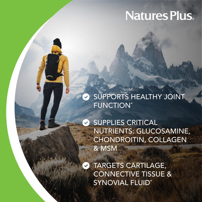 Natures Plus Ultra Rx-Joint Liquid Honey Lemon 30 fl oz | Joint Support | Gluten Free