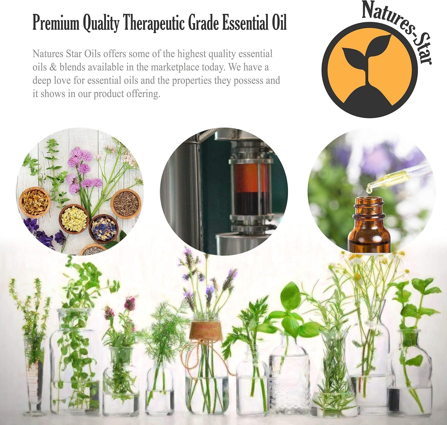 Natures-Star 16 oz Eucalyptus Essential Oil – 16 Fl Oz (Pack of 2)