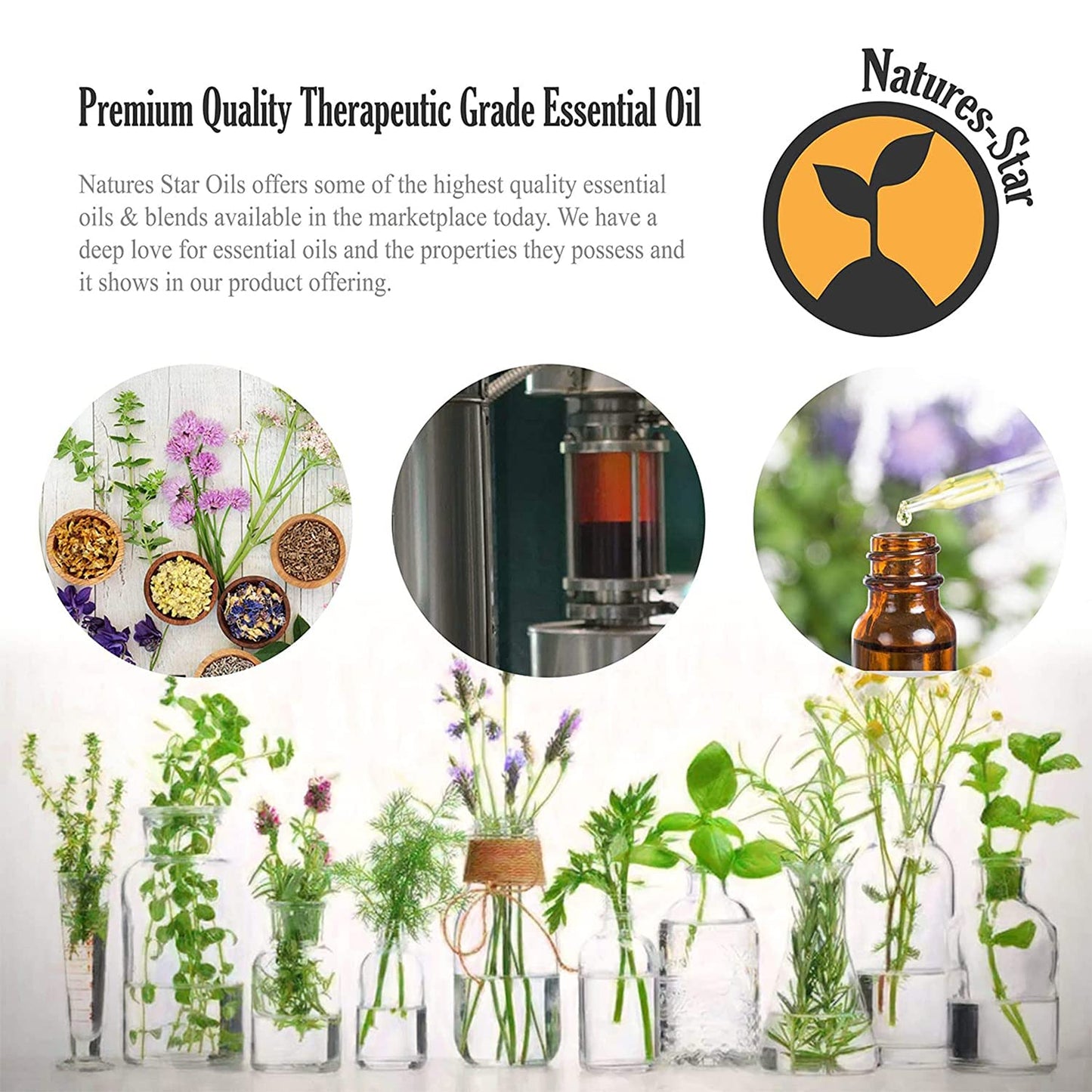 Natures-Star Lavender Essential Oil 16oz – Therapeutic Grade for Aromatherapy, Candles & Soaps