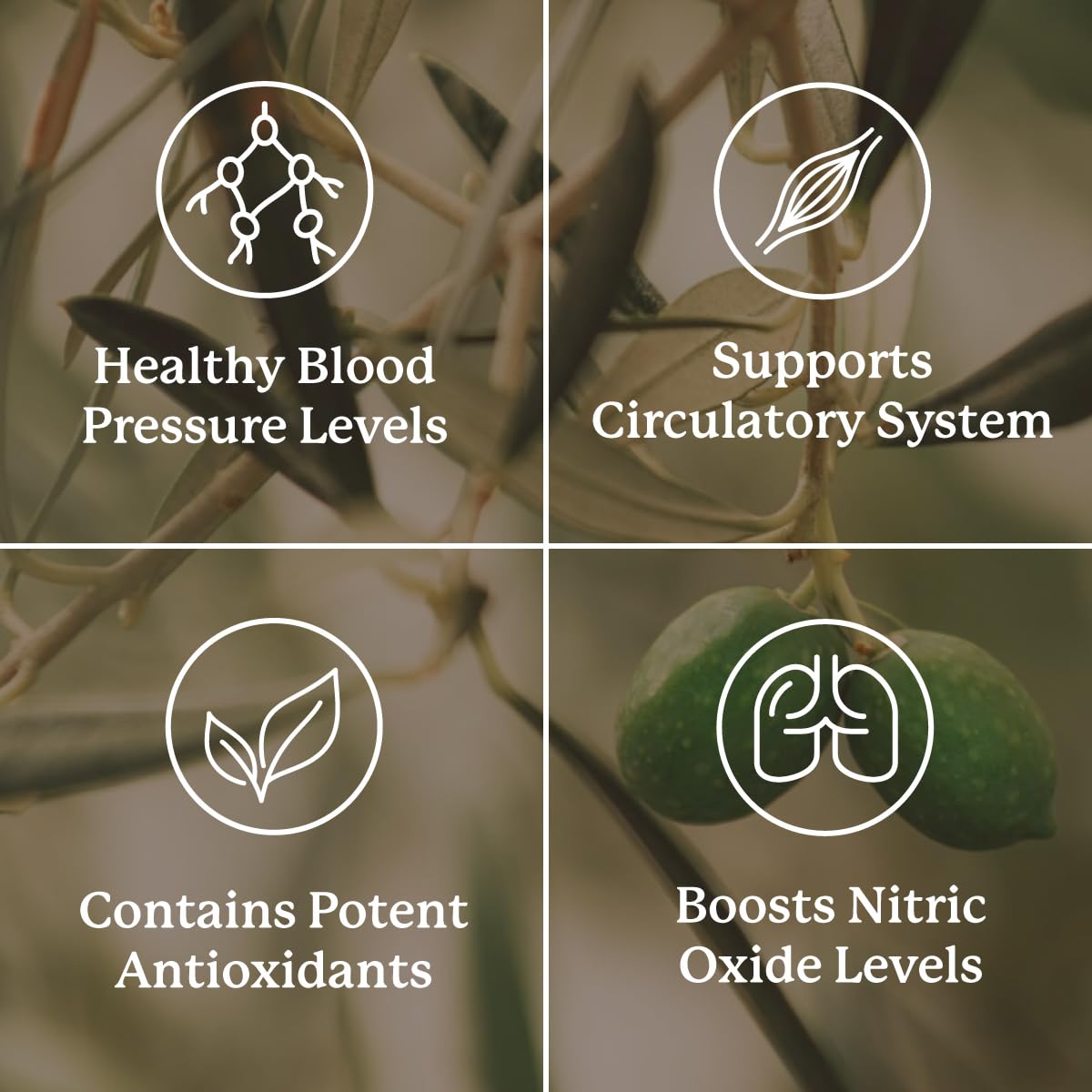 Nature's Sunshine Blood Pressurex 60 Capsules – Supports Normal Blood Pressure Range