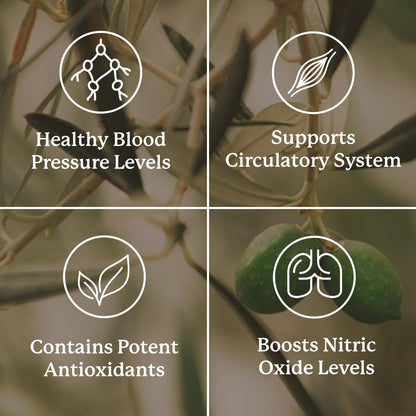 Nature's Sunshine Blood Pressurex 60 Capsules – Supports Normal Blood Pressure Range