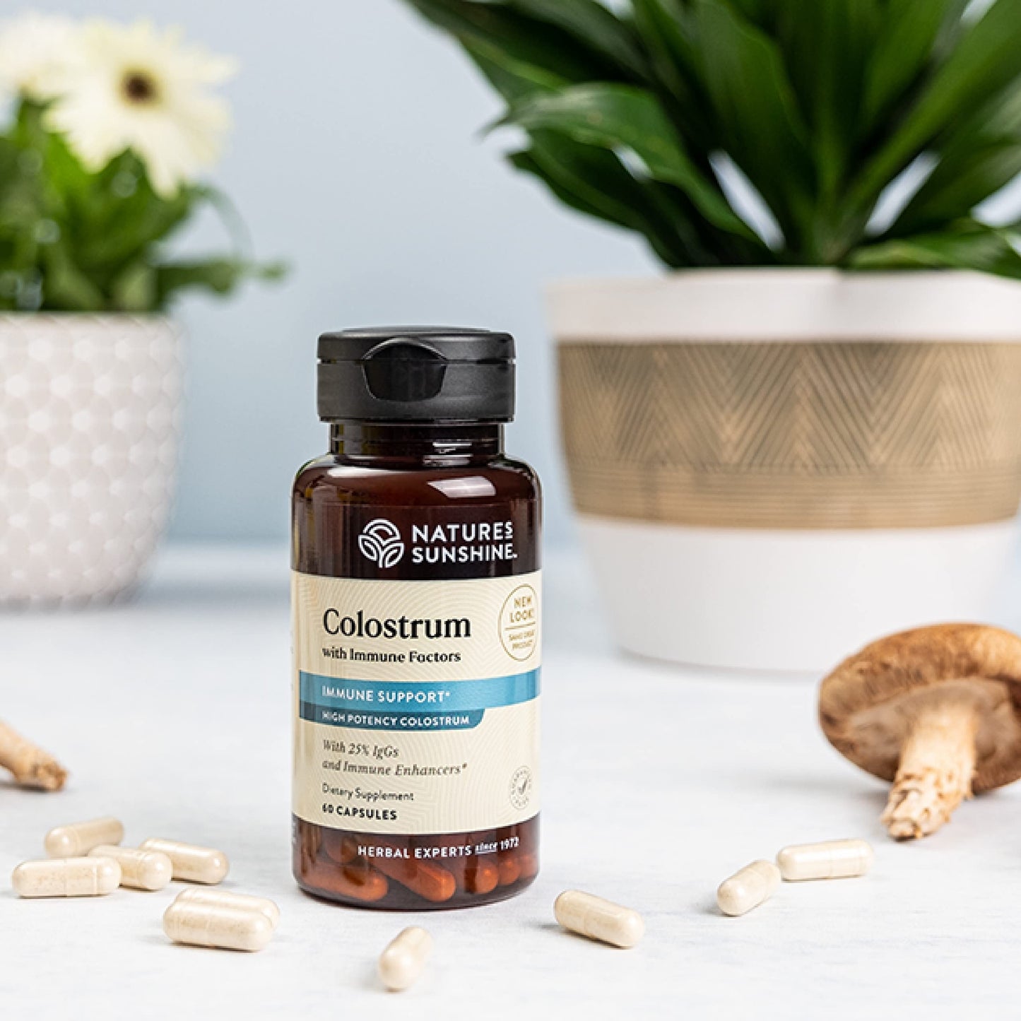 Nature's Sunshine Colostrum with Immune Factors - 60 Capsules | Immune & Gut Health