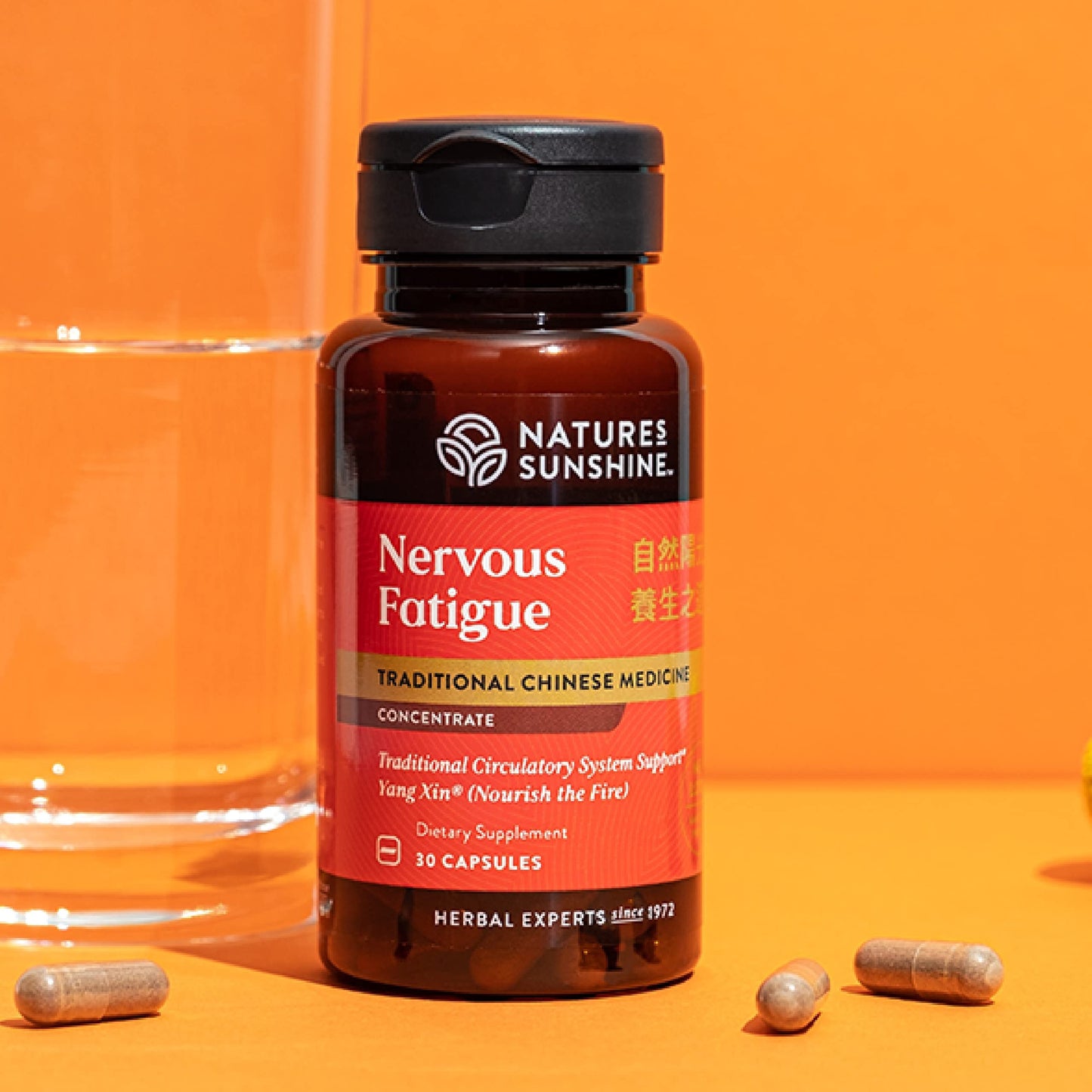 Nature's Sunshine Nervous Fatigue TCM Concentrate 30-Caps