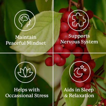 Nature's Sunshine Nutri-Calm – Herbal Stress Relief & Mood Support Supplement (100 Count)