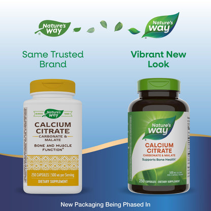 Nature's Way Calcium Citrate 500 mg | Bone Health & Muscle Support, Gluten Free, 250 Capsules (2 Pack)