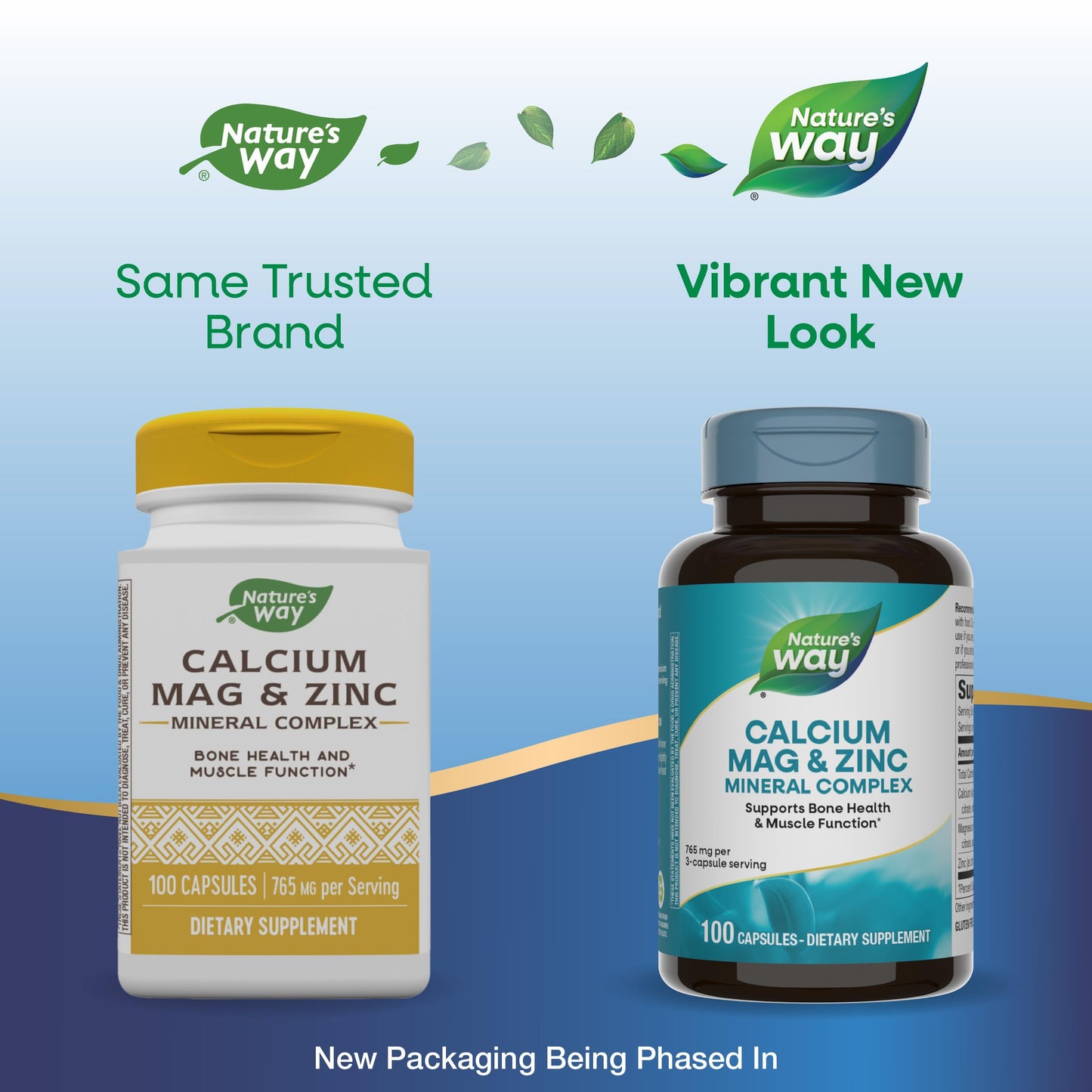 Nature's Way Calcium Magnesium Zinc Mineral Complex – Bone Health, Muscle Function & Immune Support | 2 Pack