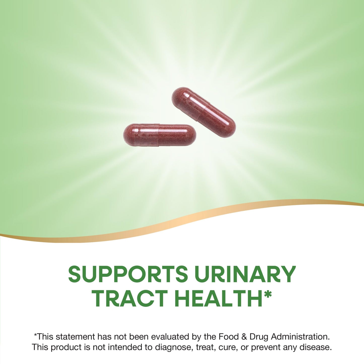 Nature's Way Cranberry Fruit Cranberry Supplements - Supports Urinary Tract Health - 930 mg per 2-Capsule Serving