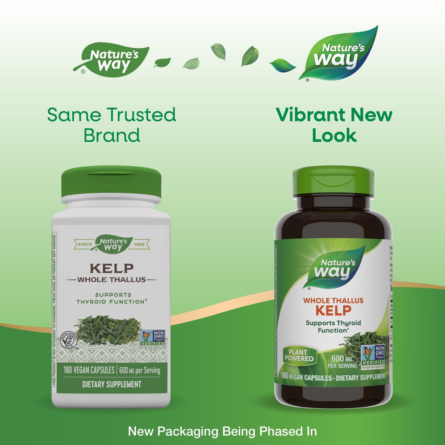 Nature's Way Kelp 600 mg - Supports Thyroid Function - 180 Capsules | Non-GMO Project Verified