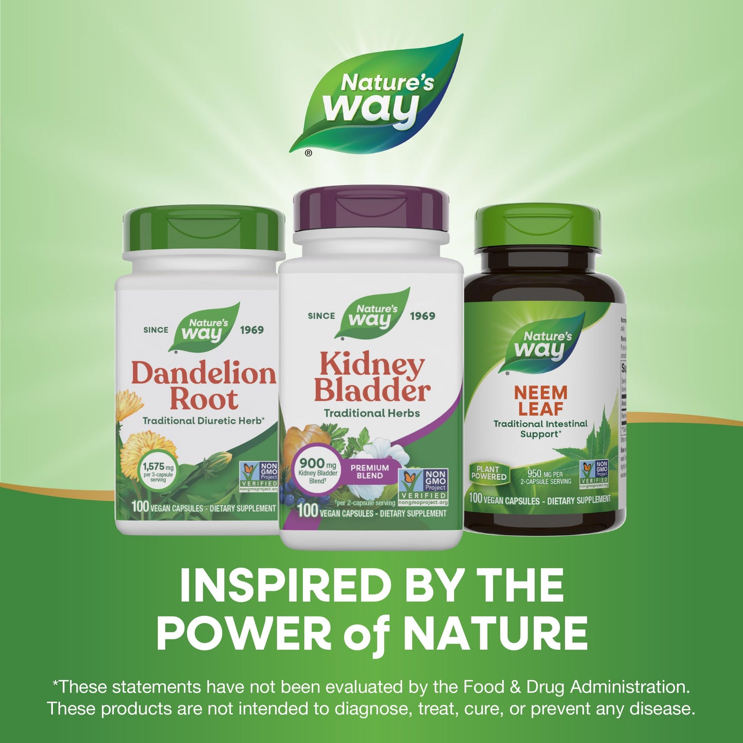 Nature's Way Kidney Bladder Premium Blend, Traditional Herbs Supplement, 900 mg per 2-Capsule Serving, Non-GMO Project Verified, Vegan, 100 Capsules (Packaging May Vary)