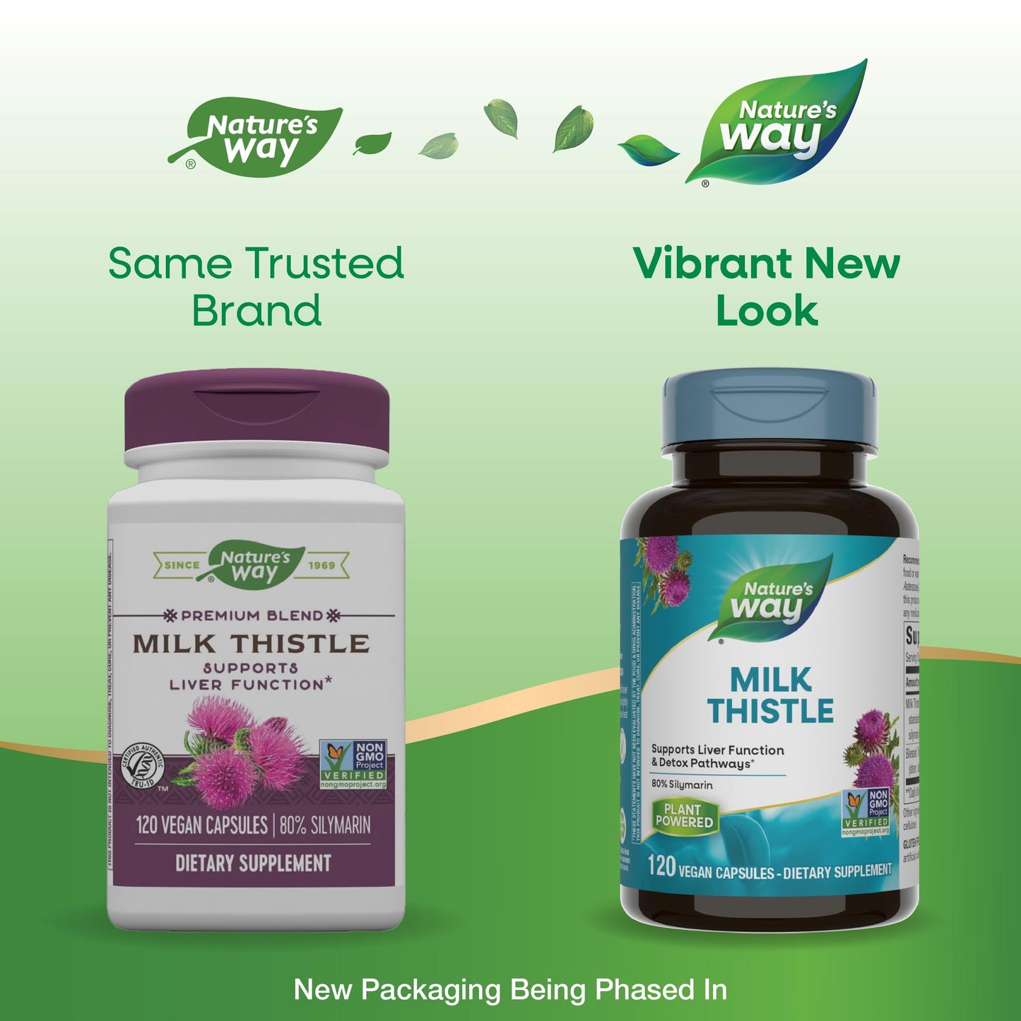 Nature's Way Milk Thistle, Supports Liver Function and Detoxification Pathways*, 175 mg Milk Thistle Seed Extract Standardized to 80% Silymarin per Serving, 120 Capsules (Packaging May Vary) - 2 Pack