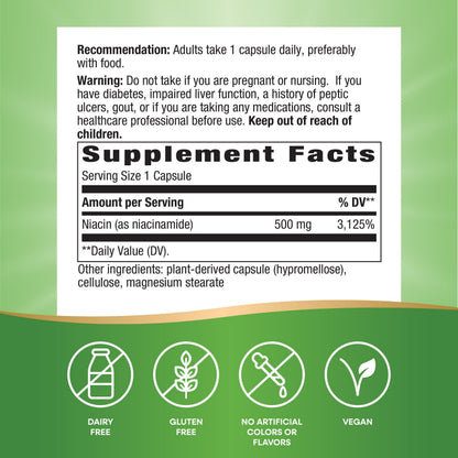 Nature's Way Niacinamide - Non-Flushing Vitamin B3 500 mg, 100 Capsules