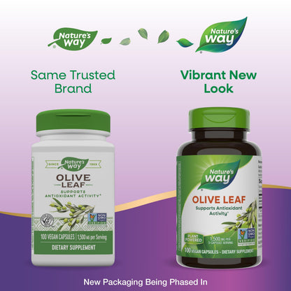 Nature's Way Olive Leaf 1,500 mg per 3-Capsule Serving – Antioxidant Support | Vegan, Non-GMO, Gluten Free