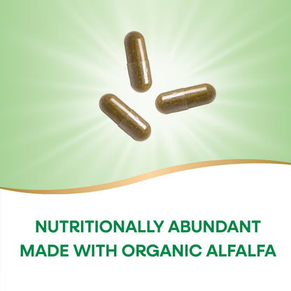 Nature's Way Alfalfa - 1,215 mg per 3-Capsule Serving - Organic Alfalfa - Vegan - Gluten Free - 100 Capsules