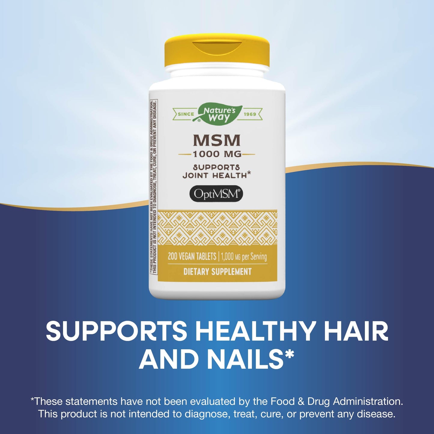 Nature's Way MSM 1000 mg – Joint Health Supplement* (Gluten-Free & Vegan) | 200 Tablets Pack of 2