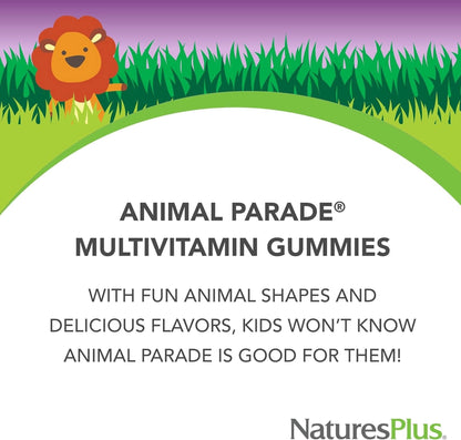 NaturesPlus Animal Parade Multivitamin Gummies - 90 Count, 30 Servings | Cherry, Grape & Orange