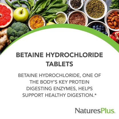 NaturesPlus Betaine HCl 600 mg – 90 Tablets | Digestive Support