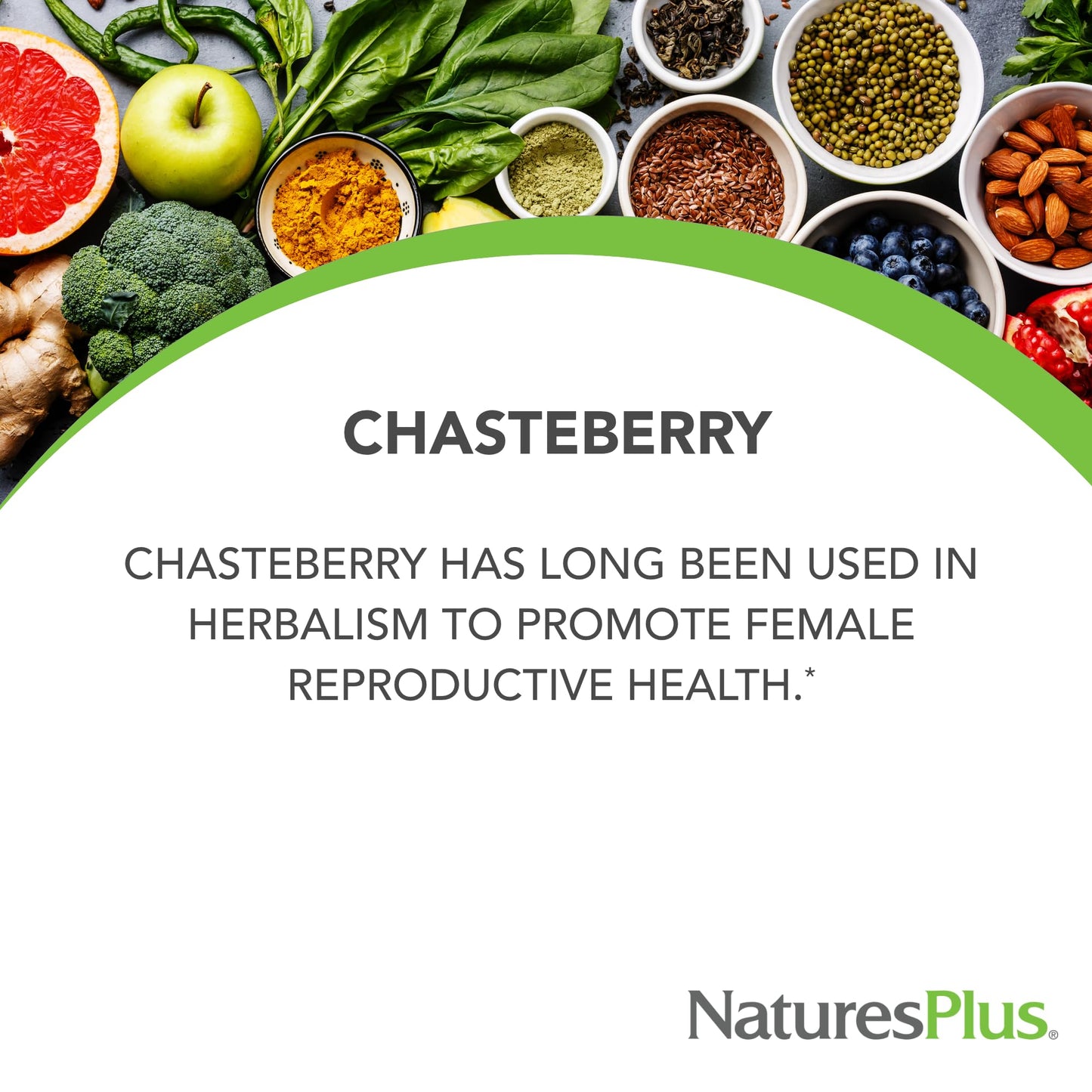 NaturesPlus Herbal Actives Chasteberry - 60 Capsules, Menstrual Health