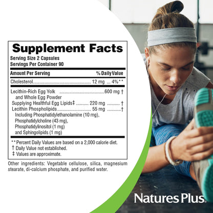 NaturesPlus Egg Yolk Lecithin 600 mg – 180 Capsules Pack of 2 – Soy Free & Gluten Free