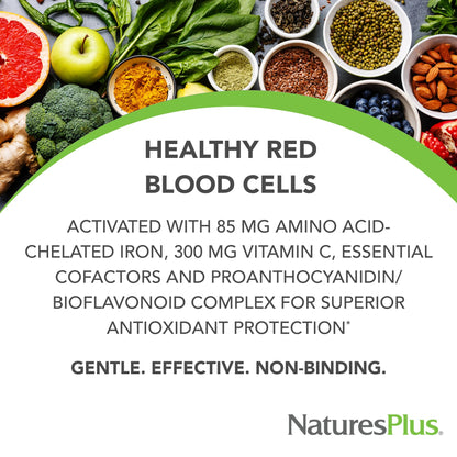NaturesPlus Hema-Plex Iron - 85 mg Chelated Iron + Vitamin C | Vegan & Gluten Free