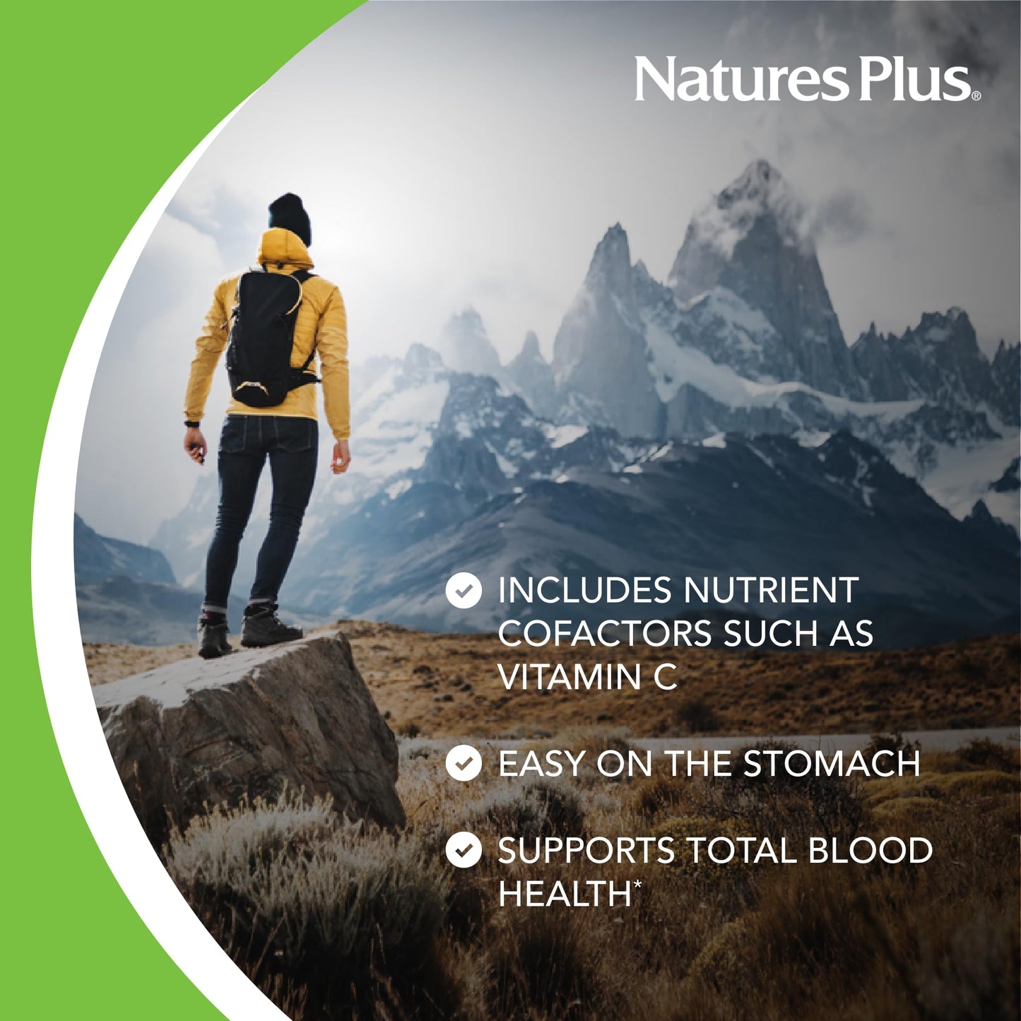 NaturesPlus Hema-Plex Iron – 85 mg Chelated Iron with Vitamin C & Bioflavonoids (3-Pack)
