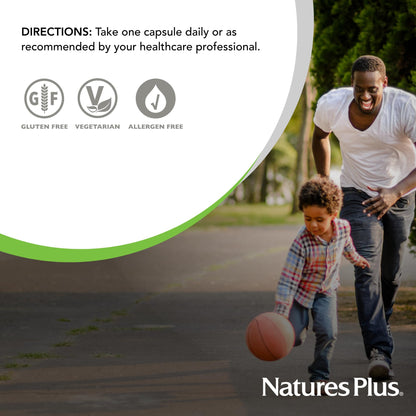 NaturesPlus Herbal Actives Licorice (DGL) 500 mg — 60 Veg Capsules (Pack of 4) | Supports Digestion
