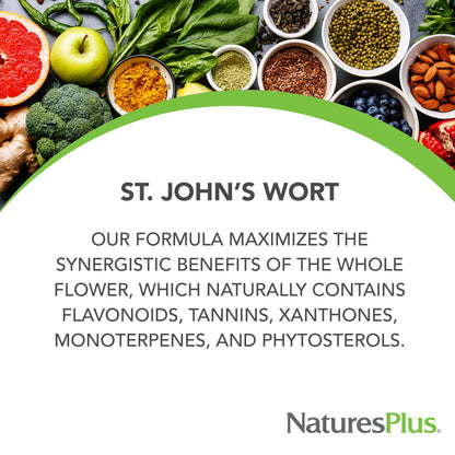 NaturesPlus Herbal Actives St. John’s Wort Extended Release — 120 Servings (60 Tablets x 2) | Vegetarian & Gluten Free