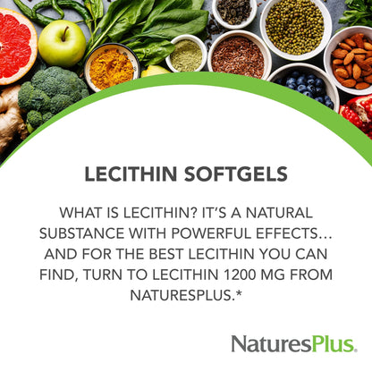 NaturesPlus Lecithin 1200 mg | 90 Softgels | Gluten Free | 90 Servings