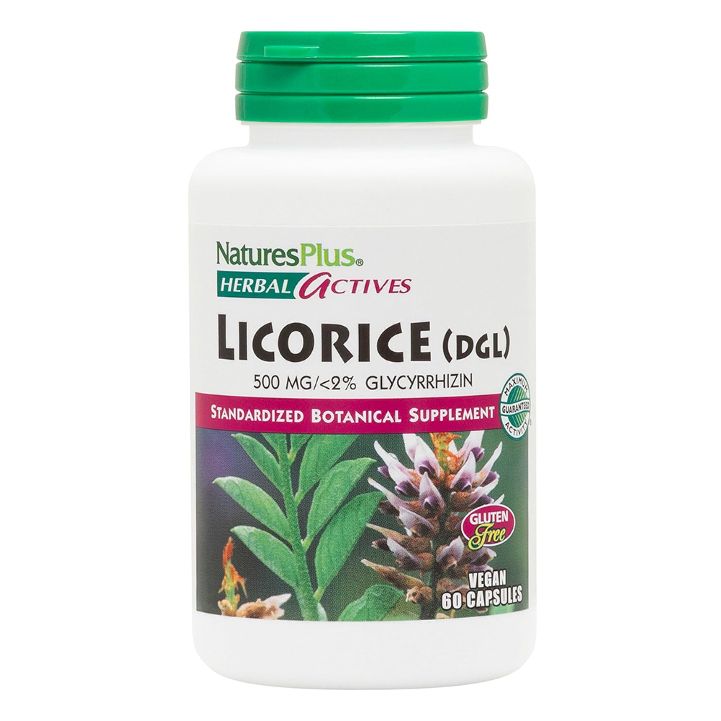 NaturesPlus Herbal Actives Licorice DGL Capsules 500mg | 60 Vegan Servings