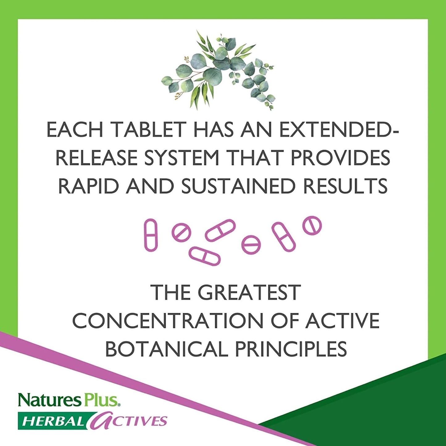 NaturesPlus Herbal Actives Red Yeast Rice Extended Release 600 mg – 120 Total Servings, Vegetarian & Gluten Free