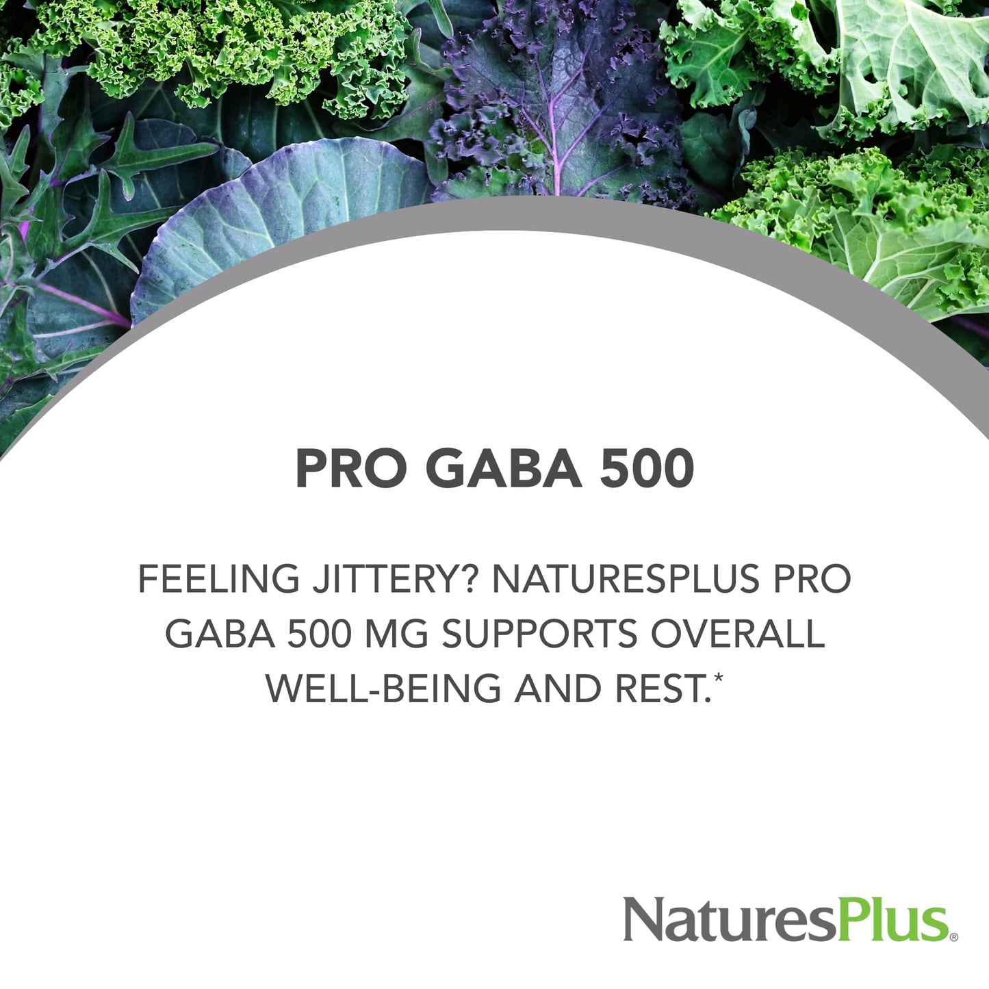 NaturesPlus PRO GABA 500 mg | 60 Capsules | Non-GMO, Vegan, Gluten Free
