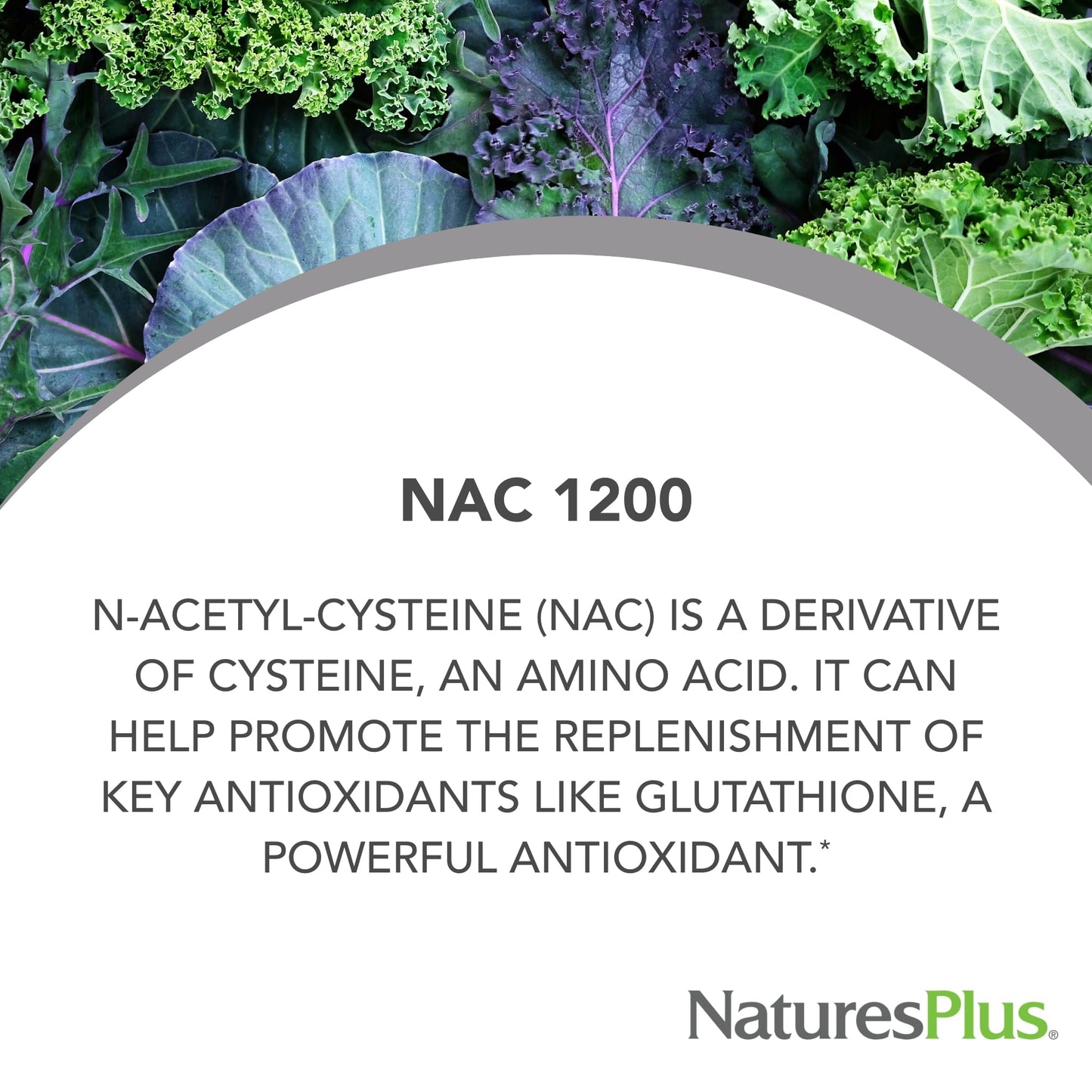 NaturesPlus PRO NAC 1200 mg - 60 Tablets | Replenish Glutathione - 30 Servings