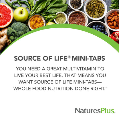 NaturesPlus Source of Life 360 Mini-Tabs – Gluten Free Vegetarian Multivitamin