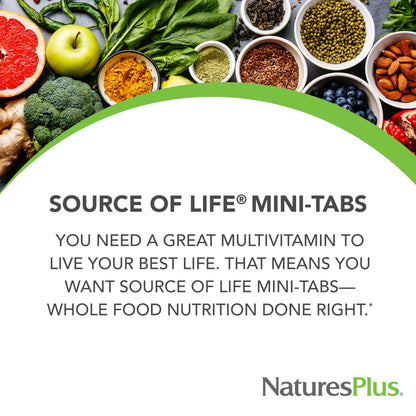NaturesPlus Source of Life 360 Mini-Tabs – Multivitamin & Mineral, Gluten Free, Vegetarian | 120 Servings