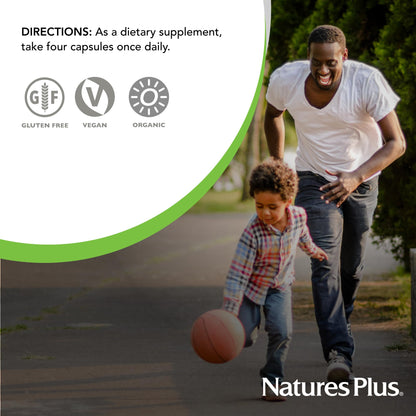 NaturesPlus Source of Life Garden Calcium - 120 Vegan Capsules (Pack of 2) | Organic, Gluten Free, Vegetarian, 60 Servings
