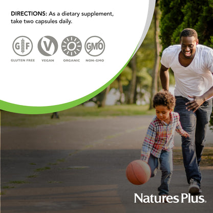 NaturesPlus Source of Life Garden Vitamin D3-60 Vegan Capsules, Pack of 3 | Organic, Non-GMO, Gluten Free | 90 Servings