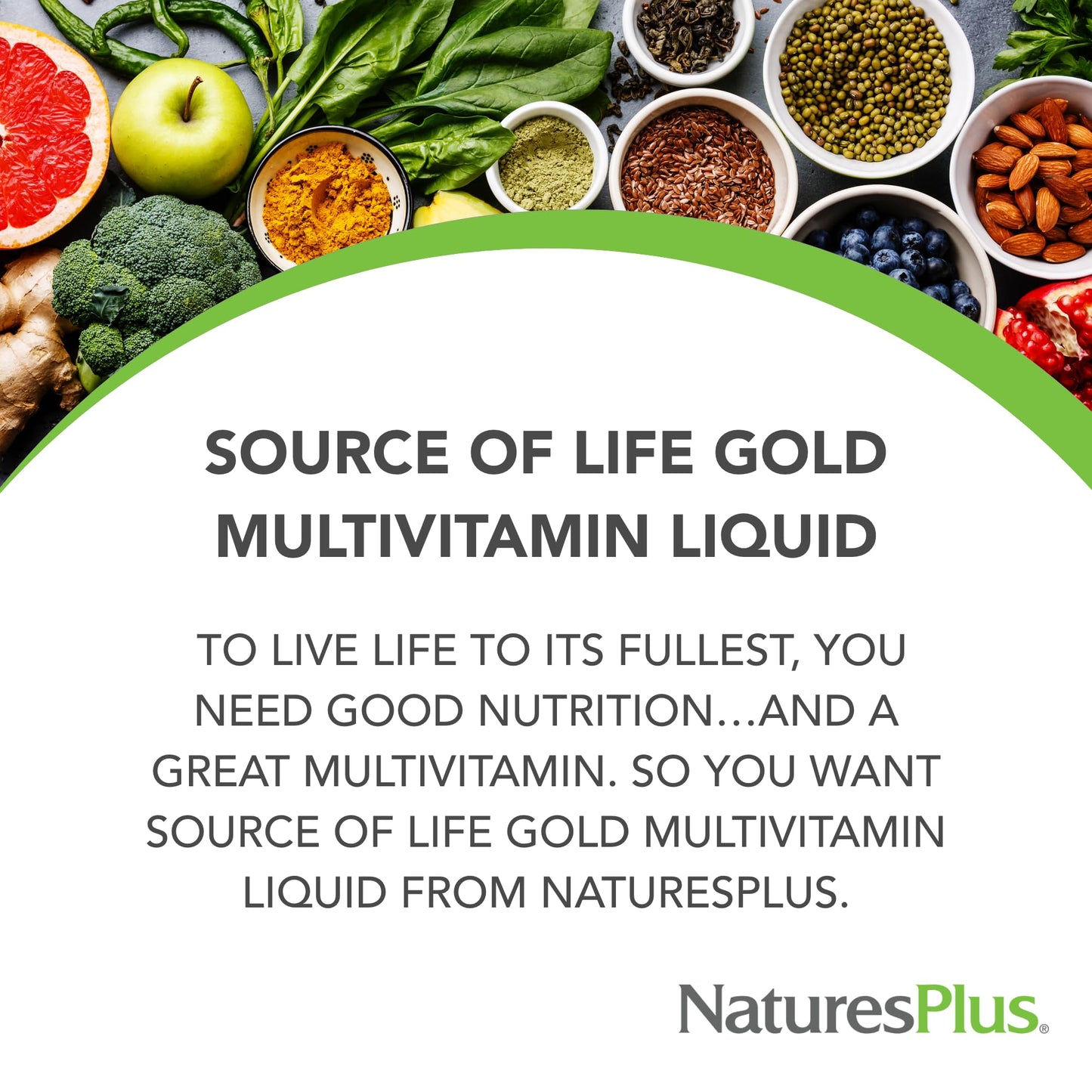 NaturesPlus Source of Life Gold Liquid Multivitamin – 30 oz for Energy, Immunity & Well-Being