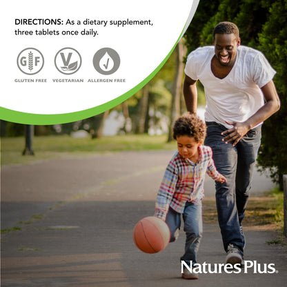 NaturesPlus Source of Life No Iron – Gluten-Free Vegetarian Multivitamin, 2-Pack (120 Servings)
