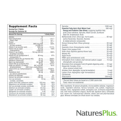 NaturesPlus Source of Life - 2 x 90 Tablets Multivitamin | Gluten Free & Vegetarian | 60 Servings